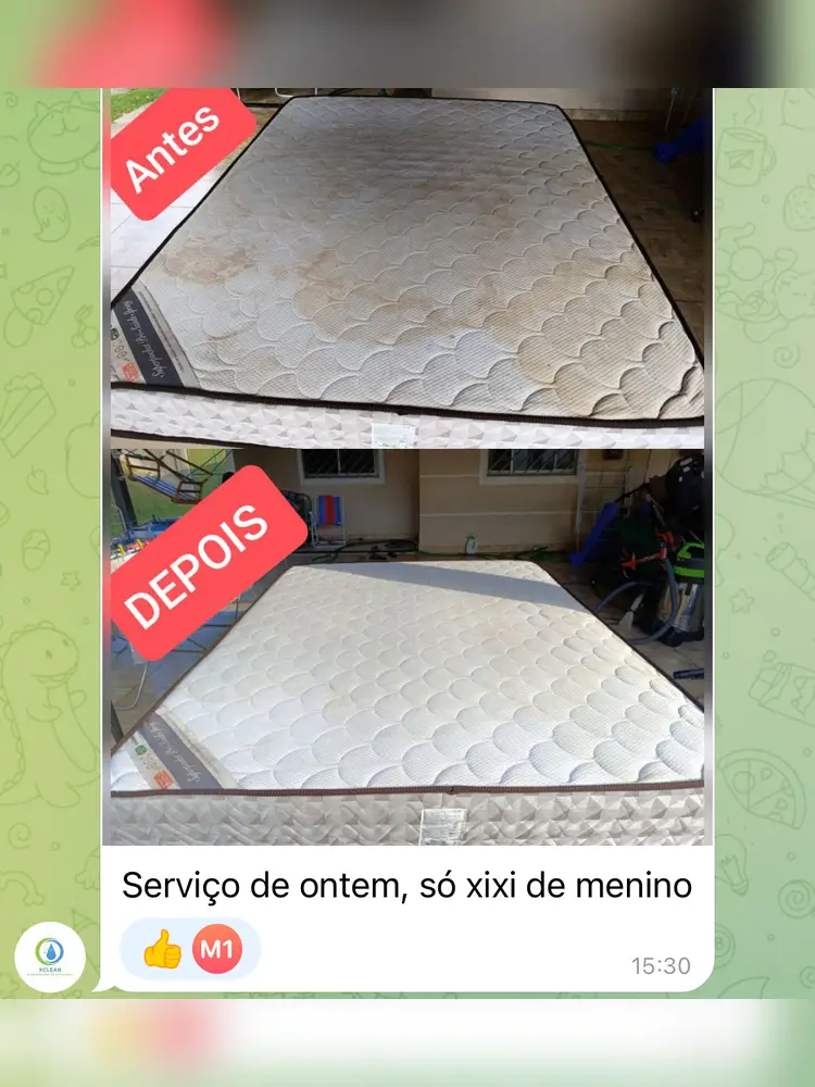 Depoimento de aluno do Método RTMLimp sobre resultados de serviços feitos pelos alunos — imagem 71