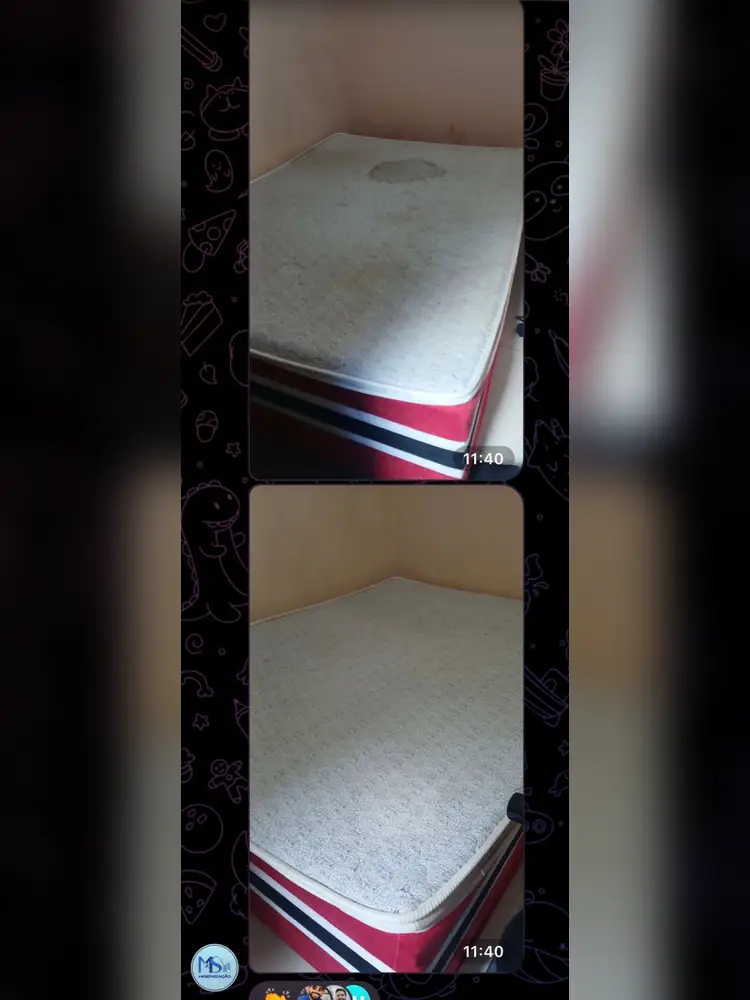 Depoimento de aluno do Método RTMLimp sobre resultados de serviços feitos pelos alunos — imagem 81