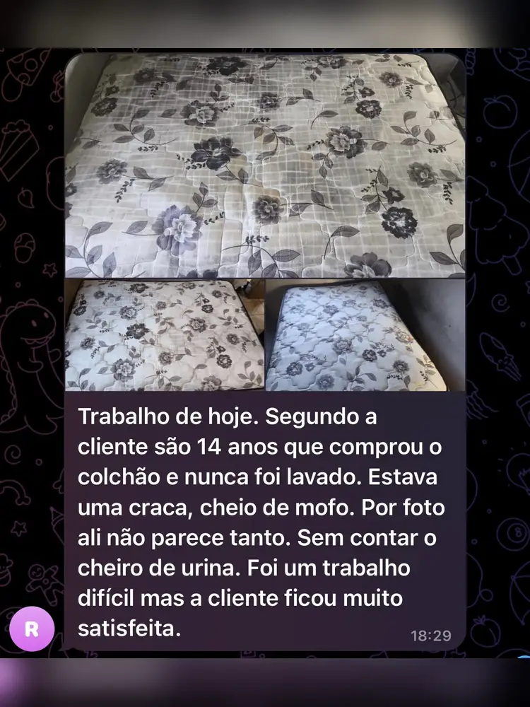 Depoimento de aluno do Método RTMLimp sobre e se eu manchar ou estragar o sofá do cliente? — imagem 7